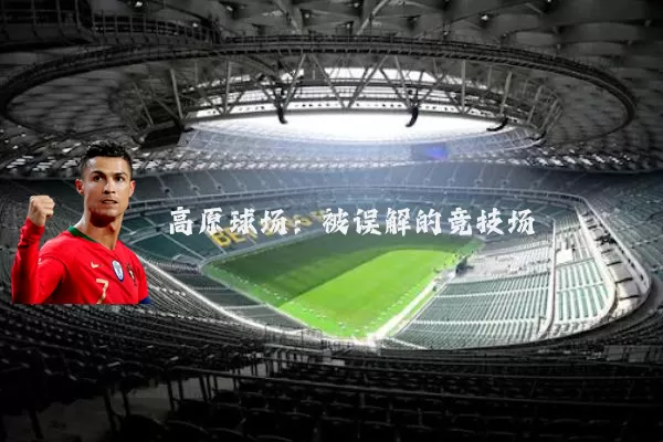 高原球场：被误解的竞技场